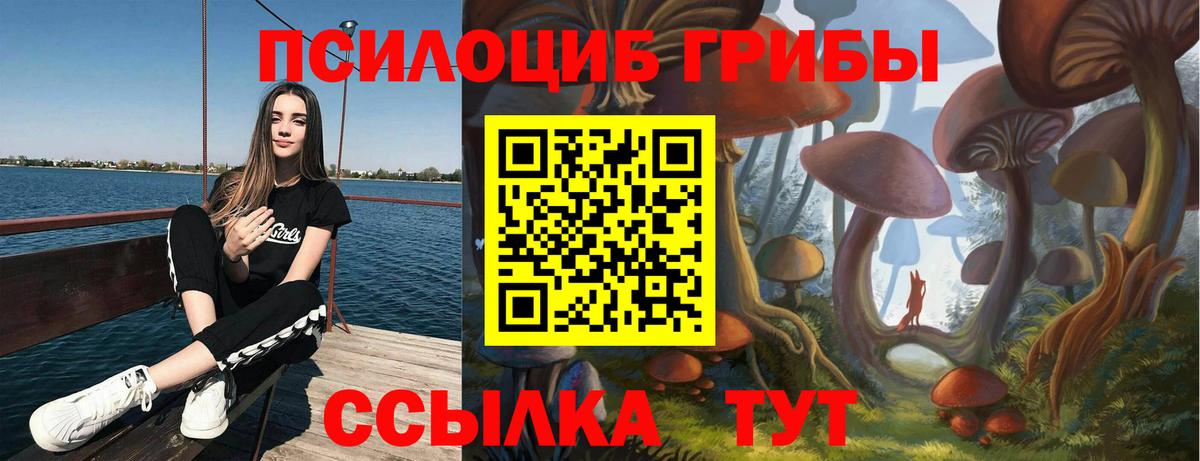 Нефтекумск  Галлюциногенные грибы GOLDEN TEACHER  Вход с VPN 