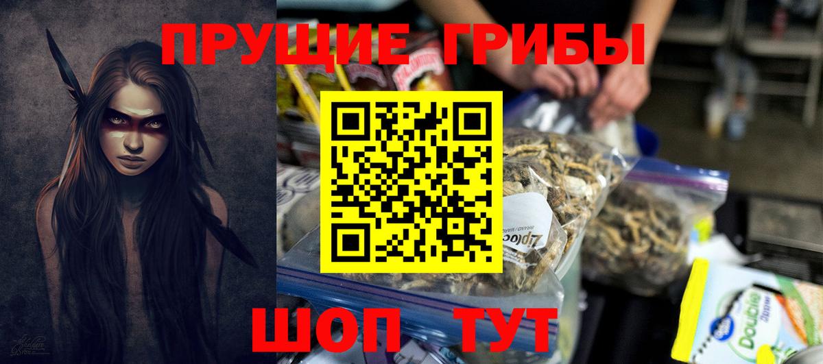 Псилоцибиновые грибы Cubensis Нефтекумск