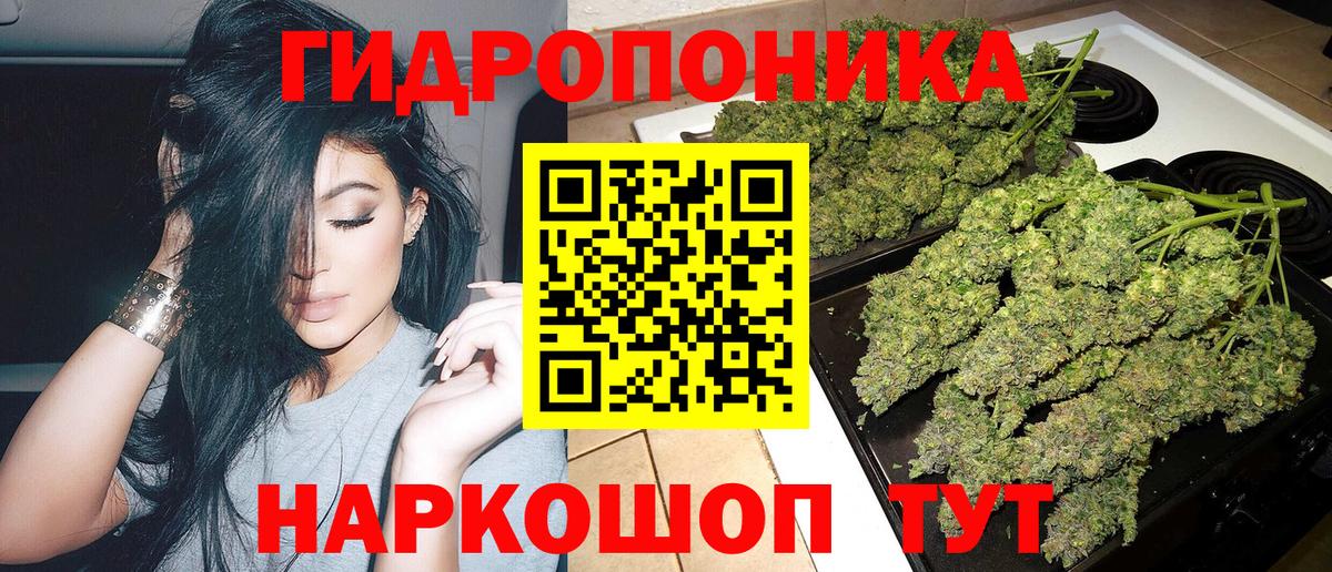 Конопля тримм  Шишки марихуана Bruce Banner  Нефтекумск  Вход с VPN  Канабис ГИДРОПОН 